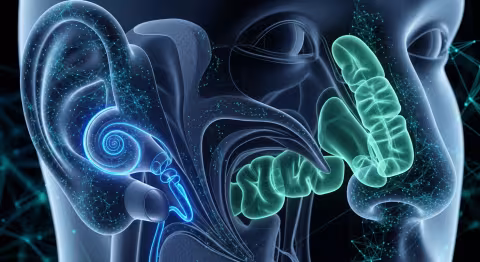 AI article illustration for ai-jarvis.eu